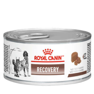 Ração Úmida Royal Canin Veterinary Recovery para Cães e Gatos em Recuperação 195 g